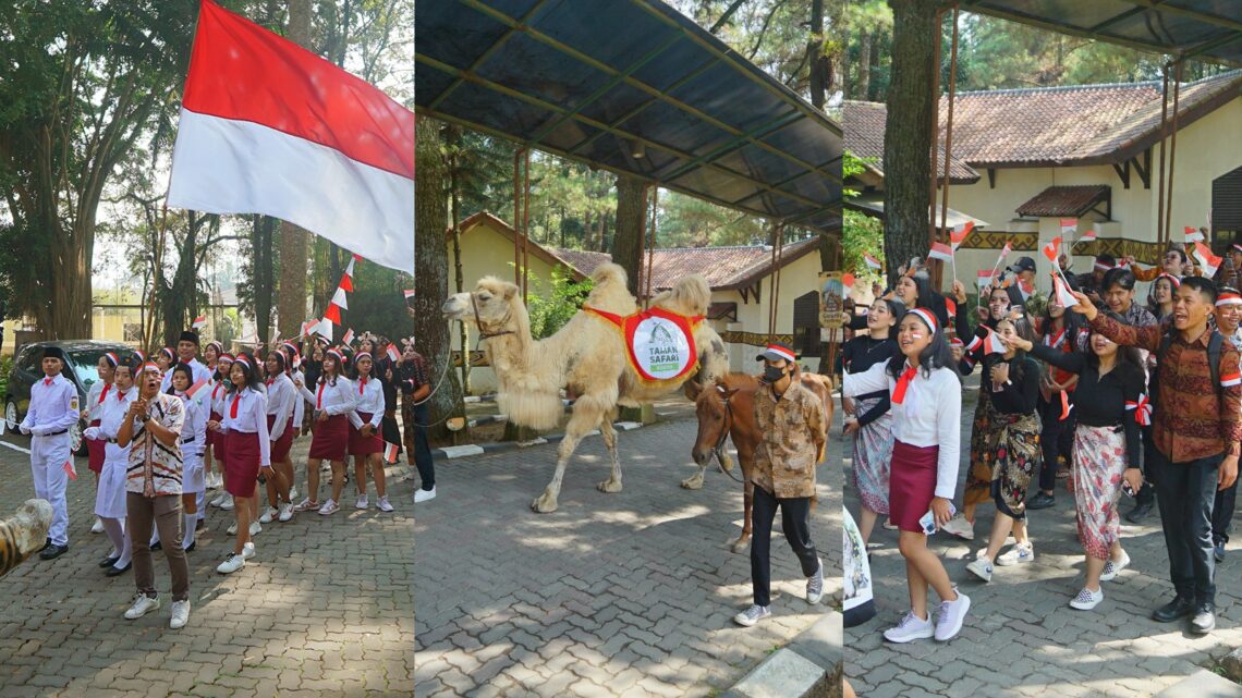 Menyambut HUT RI Ke-79, Royal Safari Garden Gelar Beragam Perlombaan dan Promo