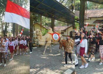 Menyambut HUT RI Ke-79, Royal Safari Garden Gelar Beragam Perlombaan dan Promo
