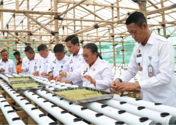 Lapas Pematang Siantar Resmikan Green House Demi Menunjang Program Ketahanan Pangan