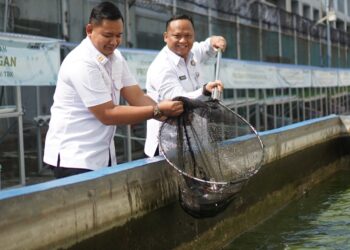 Rutan Cipinang Panen Ikan Lele, Wujud Nyata Ketahanan Pangan