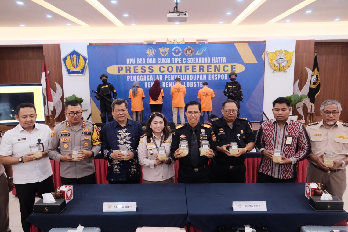 BEA CUKAI & BARANTIN GAGALKAN EKSPOR ILEGAL BENIH BENING LOBSTER SENILAI 5,17 MILIAR