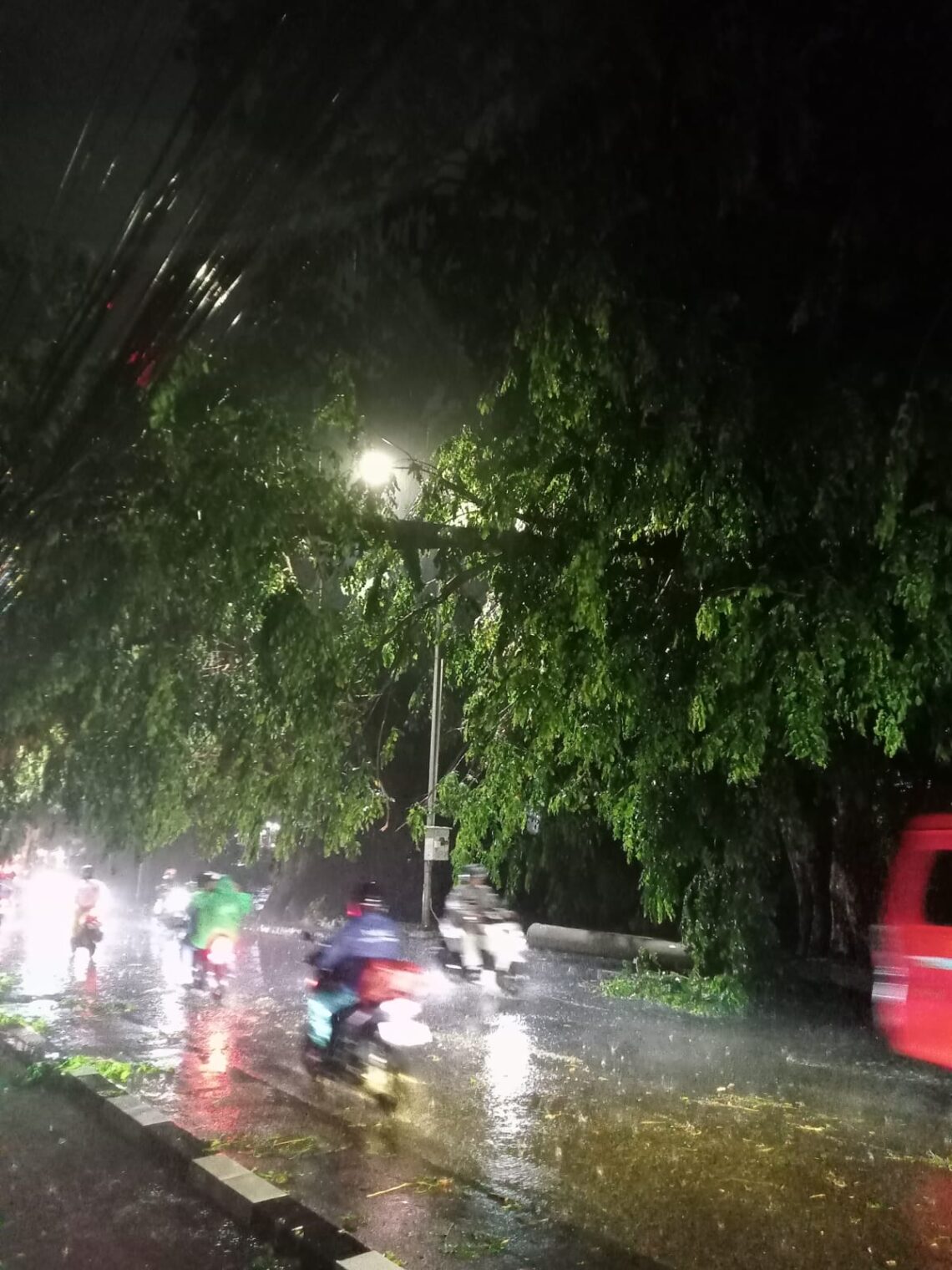 Pohon Tumbang Depan Kodim 0508 Depok, Menyebabkan Listrik Padam