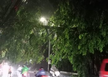 Pohon Tumbang Depan Kodim 0508 Depok, Menyebabkan Listrik Padam