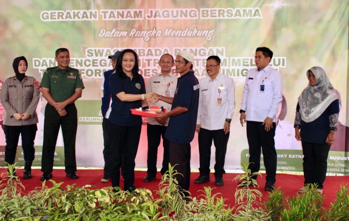 Kanwil Ditjen Imigrasi Banten Bersama Pemkot Serang Galakkan Tanam Raya Jagung